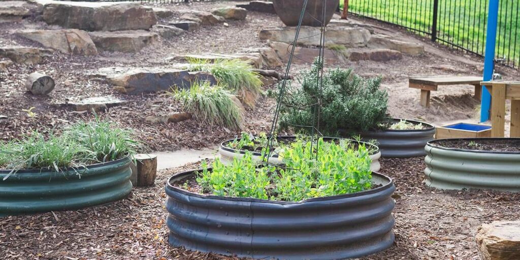 garden-beds-with-sensory-herbs