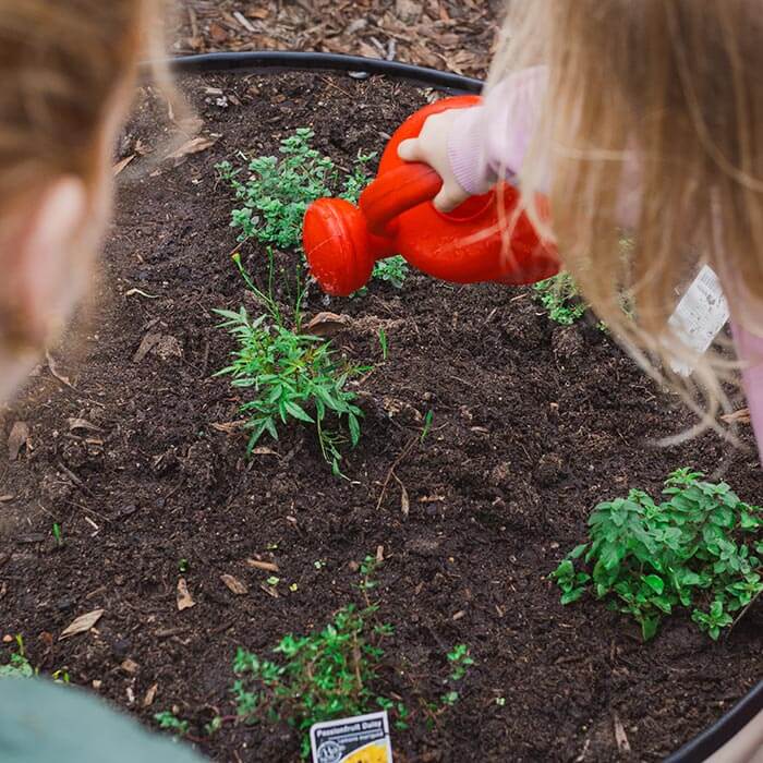 young-child-watering-the-garden